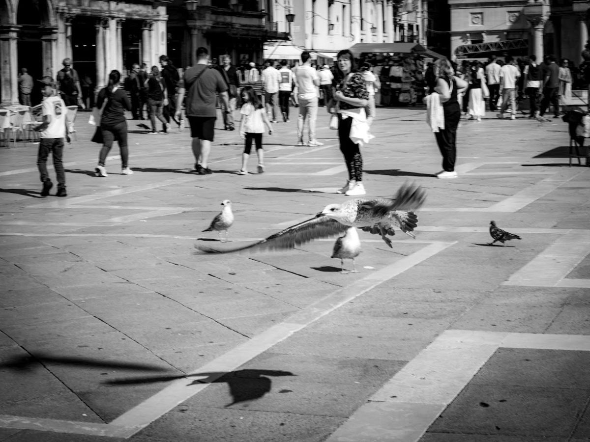 RIFLESSI, fotografia 1